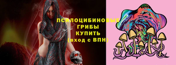 индика Армянск