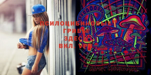 ГАЛЛЮЦИНОГЕННЫЕ ГРИБЫ Балабаново