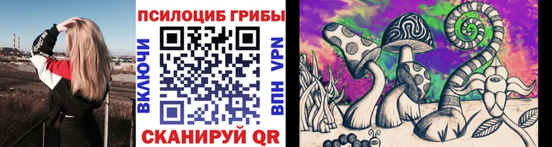omg ссылка  Кондрово  Псилоцибиновые грибы мицелий 
